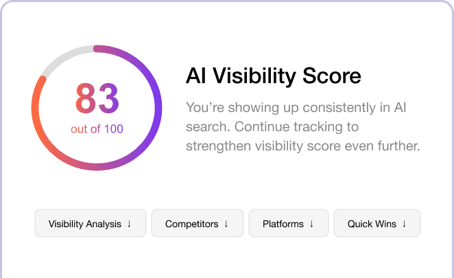 AI Visibility Score